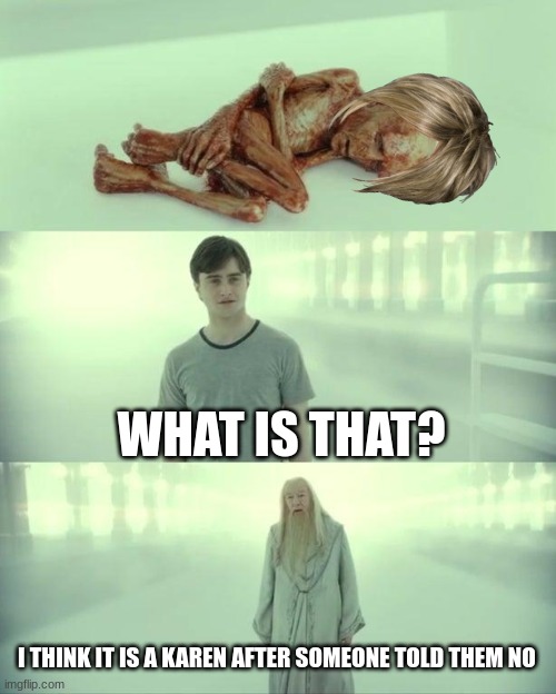 Dead Baby Voldemort / What Happened To Him | WHAT IS THAT? I THINK IT IS A KAREN AFTER SOMEONE TOLD THEM NO | image tagged in dead baby voldemort / what happened to him | made w/ Imgflip meme maker