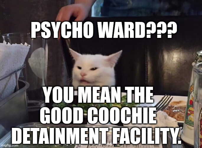 PSYCHO WARD??? YOU MEAN THE GOOD COOCHIE DETAINMENT FACILITY. | image tagged in smudge the cat,funny memes,memes | made w/ Imgflip meme maker