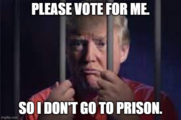 Trumps Plea to America. | PLEASE VOTE FOR ME. SO I DON'T GO TO PRISON. | image tagged in trumps plea to america | made w/ Imgflip meme maker