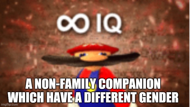 Infinite IQ | A NON-FAMILY COMPANION WHICH HAVE A DIFFERENT GENDER | image tagged in infinite iq | made w/ Imgflip meme maker