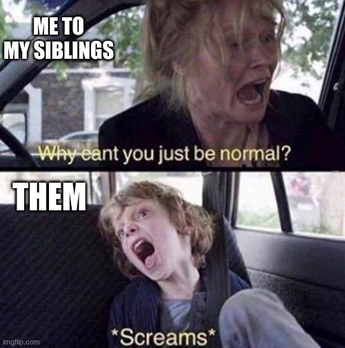 Why Can't You Just Be Normal | ME TO MY SIBLINGS; THEM | image tagged in why can't you just be normal | made w/ Imgflip meme maker