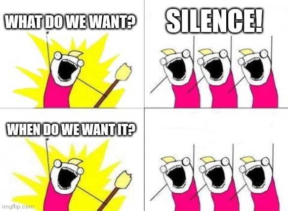 ... | WHAT DO WE WANT? SILENCE! WHEN DO WE WANT IT? | image tagged in memes,what do we want | made w/ Imgflip meme maker