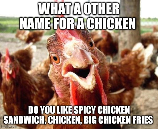 Chicken | WHAT A OTHER NAME FOR A CHICKEN; DO YOU LIKE SPICY CHICKEN SANDWICH, CHICKEN, BIG CHICKEN FRIES | image tagged in chicken | made w/ Imgflip meme maker