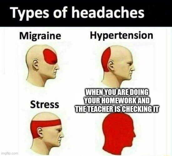 Types Of Headaches | WHEN YOU ARE DOING YOUR HOMEWORK AND THE TEACHER IS CHECKING IT | image tagged in types of headaches | made w/ Imgflip meme maker