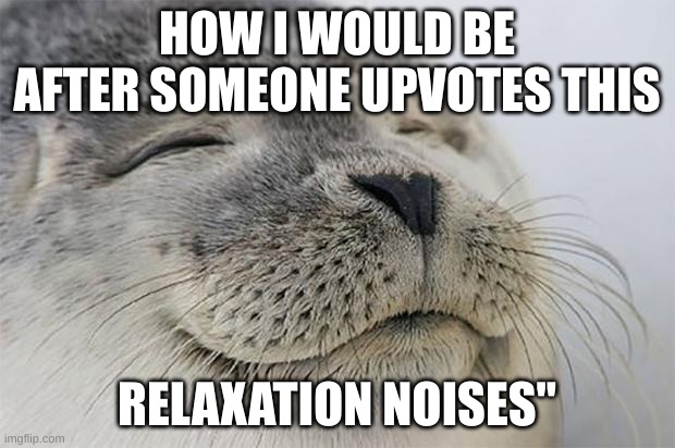 Satisfied Seal Meme | HOW I WOULD BE AFTER SOMEONE UPVOTES THIS; RELAXATION NOISES" | image tagged in memes,satisfied seal | made w/ Imgflip meme maker