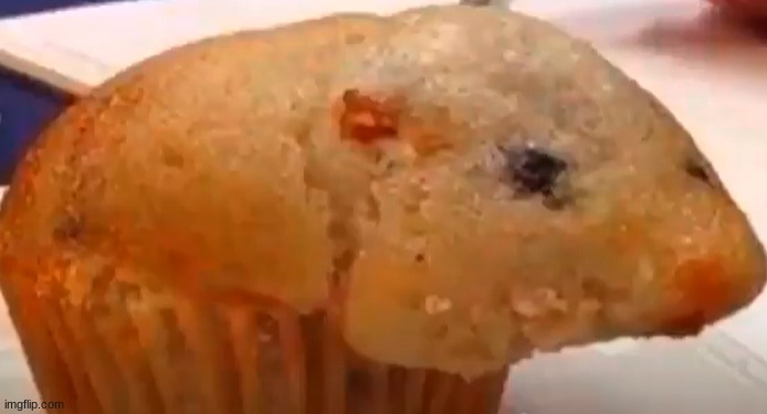 muffin hampster | image tagged in muffin hampster | made w/ Imgflip meme maker