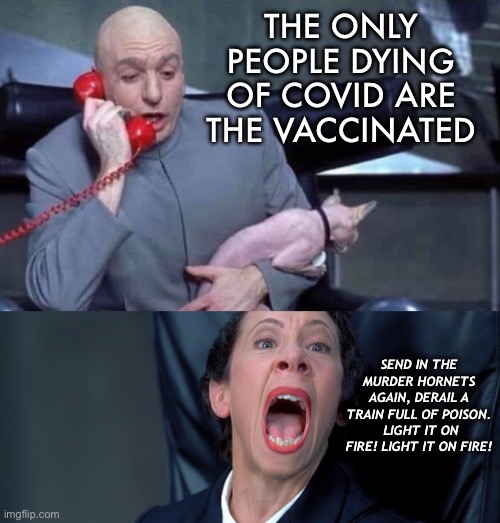 Sudden death syndrome for the win Bob |  THE ONLY PEOPLE DYING OF COVID ARE THE VACCINATED; SEND IN THE MURDER HORNETS AGAIN, DERAIL A TRAIN FULL OF POISON.  LIGHT IT ON FIRE! LIGHT IT ON FIRE! | image tagged in dr evil and frau,vaccines,liberal logic,government corruption | made w/ Imgflip meme maker