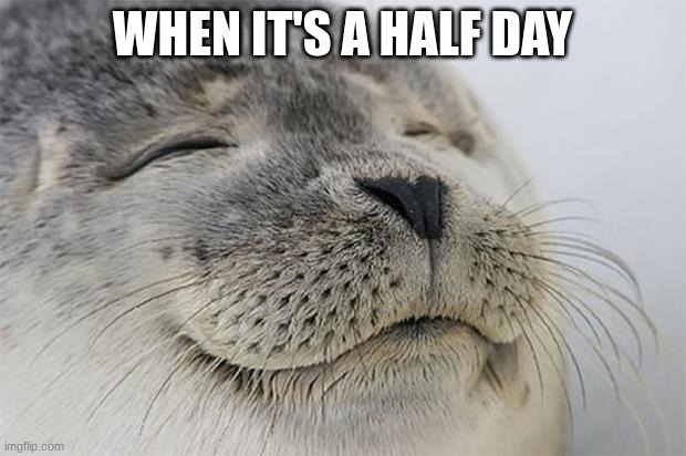 I had one on wednesday | WHEN IT'S A HALF DAY | image tagged in memes,satisfied seal,half day,school,play,roblox | made w/ Imgflip meme maker