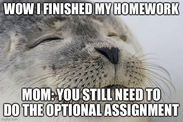 Satisfied Seal | WOW I FINISHED MY HOMEWORK; MOM: YOU STILL NEED TO DO THE OPTIONAL ASSIGNMENT | image tagged in school meme | made w/ Imgflip meme maker