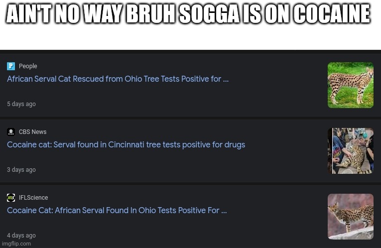 AIN'T NO WAY BRUH SOGGA IS ON COCAINE | made w/ Imgflip meme maker