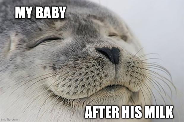 Satisfied | MY BABY; AFTER HIS MILK | image tagged in memes,satisfied seal,baby,breastfeeding | made w/ Imgflip meme maker