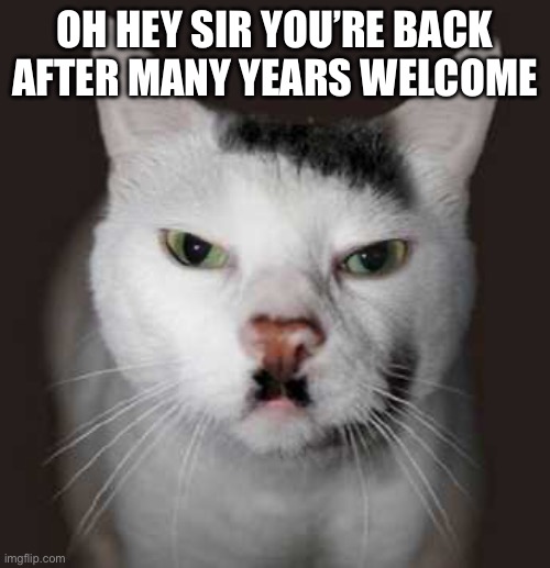 Nazi Cat | OH HEY SIR YOU’RE BACK AFTER MANY YEARS WELCOME | image tagged in nazi cat | made w/ Imgflip meme maker