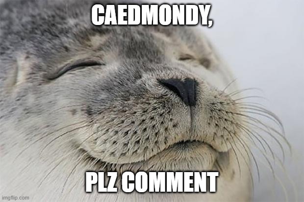 Satisfied Seal | CAEDMONDY, PLZ COMMENT | image tagged in memes,satisfied seal | made w/ Imgflip meme maker