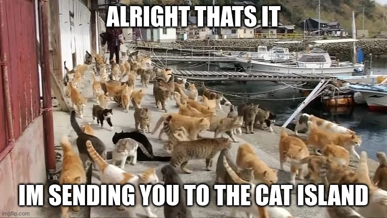 ALRIGHT THATS IT; IM SENDING YOU TO THE CAT ISLAND | made w/ Imgflip meme maker