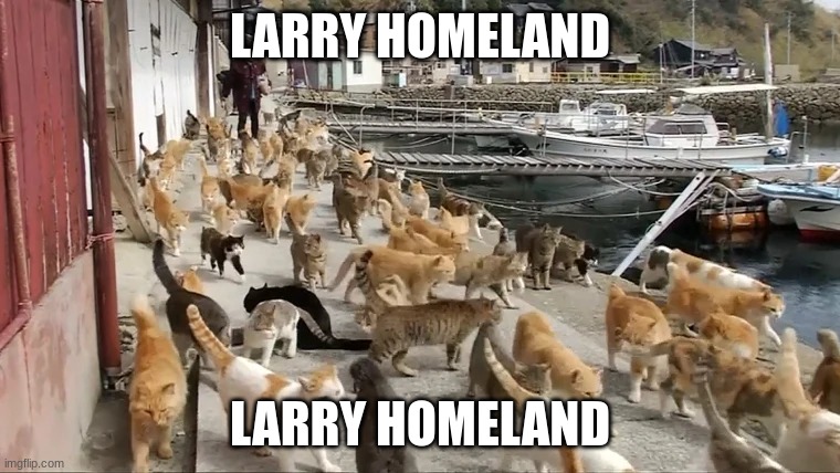 LARRY HOMELAND; LARRY HOMELAND | made w/ Imgflip meme maker