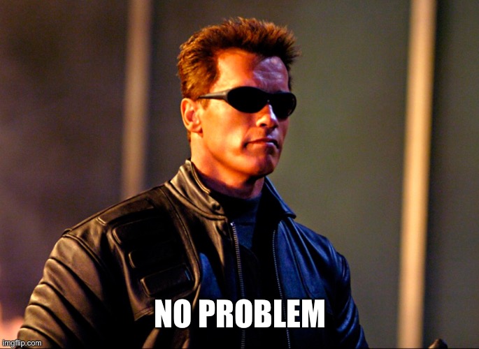 No Problemo! | NO PROBLEM | image tagged in no problemo | made w/ Imgflip meme maker