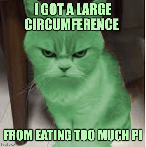 RayCat angry | I GOT A LARGE CIRCUMFERENCE; FROM EATING TOO MUCH PI | image tagged in raycat angry,memes | made w/ Imgflip meme maker