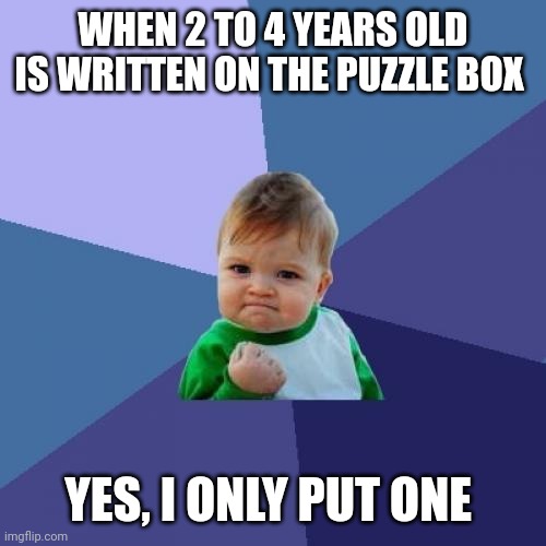 Is real | WHEN 2 TO 4 YEARS OLD IS WRITTEN ON THE PUZZLE BOX; YES, I ONLY PUT ONE | image tagged in memes,success kid | made w/ Imgflip meme maker