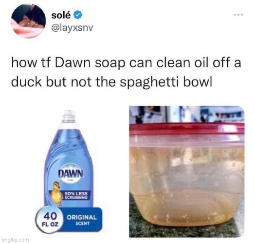 image tagged in memes,funny | made w/ Imgflip meme maker