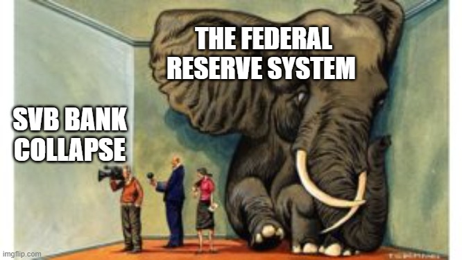 Federal Reserve Elephant | THE FEDERAL RESERVE SYSTEM; SVB BANK COLLAPSE | image tagged in elephant in the room,federal reserve,corruption,bankers | made w/ Imgflip meme maker