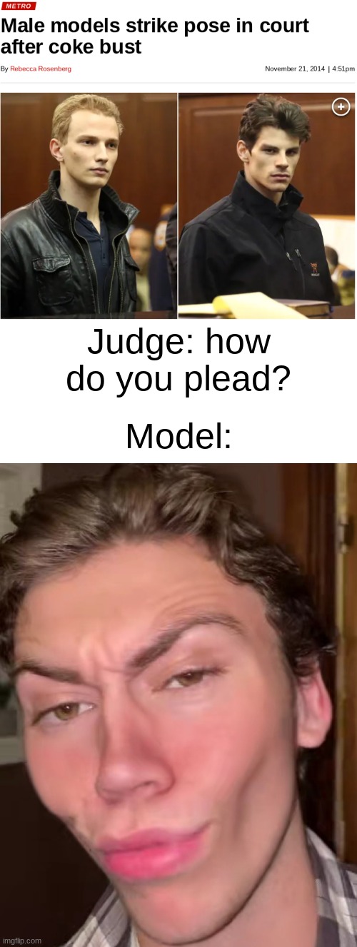 my name is skyler white yo | Judge: how do you plead? Model: | image tagged in blank white template,funny,funny memes,memes,news,pose | made w/ Imgflip meme maker