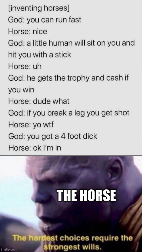 THE HORSE | image tagged in the hardest choices require the strongest wills,horse,memes | made w/ Imgflip meme maker