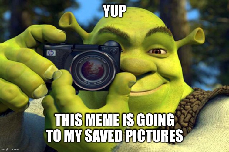 shrek camera | YUP THIS MEME IS GOING TO MY SAVED PICTURES | image tagged in shrek camera | made w/ Imgflip meme maker