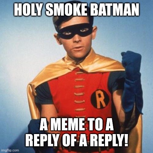 Robin | HOLY SMOKE BATMAN A MEME TO A REPLY OF A REPLY! | image tagged in robin | made w/ Imgflip meme maker