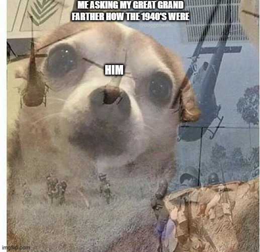 not the 1940's | ME ASKING MY GREAT GRAND FARTHER HOW THE 1940'S WERE; HIM | image tagged in ptsd chihuahua | made w/ Imgflip meme maker
