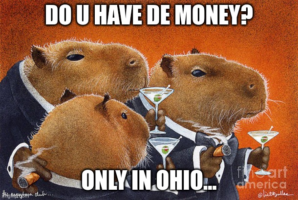 Cappybara | DO U HAVE DE MONEY? ONLY IN OHIO... | image tagged in hehehe,ohio,cappybara | made w/ Imgflip meme maker