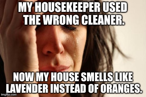 First World Problems Meme | MY HOUSEKEEPER USED THE WRONG CLEANER. NOW MY HOUSE SMELLS LIKE LAVENDER INSTEAD OF ORANGES. | image tagged in memes,first world problems | made w/ Imgflip meme maker