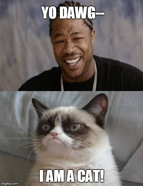 We Can't All Be DAWGS  | YO DAWG-- I AM A CAT! | image tagged in memes,grumpy cat,yo dawg heard you | made w/ Imgflip meme maker