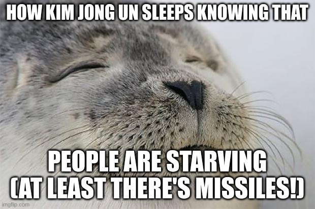Upvote if you agree | HOW KIM JONG UN SLEEPS KNOWING THAT; PEOPLE ARE STARVING (AT LEAST THERE'S MISSILES!) | image tagged in memes,satisfied seal | made w/ Imgflip meme maker