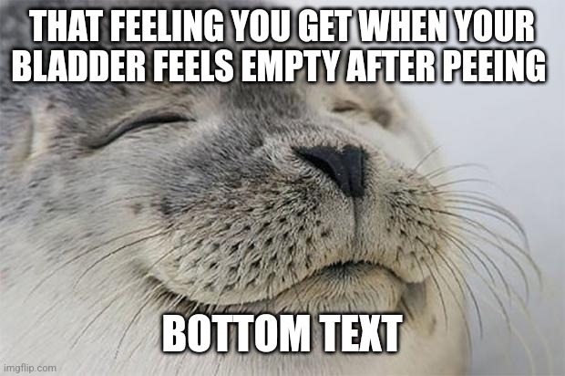 It feels divine though not gonna lie | THAT FEELING YOU GET WHEN YOUR BLADDER FEELS EMPTY AFTER PEEING; BOTTOM TEXT | image tagged in memes,satisfied seal | made w/ Imgflip meme maker