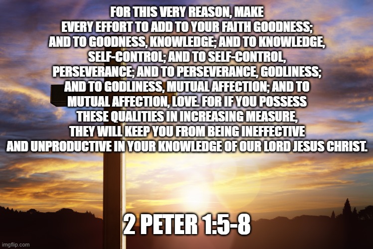 Bible Verse of the Day | FOR THIS VERY REASON, MAKE EVERY EFFORT TO ADD TO YOUR FAITH GOODNESS; AND TO GOODNESS, KNOWLEDGE; AND TO KNOWLEDGE, SELF-CONTROL; AND TO SELF-CONTROL, PERSEVERANCE; AND TO PERSEVERANCE, GODLINESS; AND TO GODLINESS, MUTUAL AFFECTION; AND TO MUTUAL AFFECTION, LOVE. FOR IF YOU POSSESS THESE QUALITIES IN INCREASING MEASURE, THEY WILL KEEP YOU FROM BEING INEFFECTIVE AND UNPRODUCTIVE IN YOUR KNOWLEDGE OF OUR LORD JESUS CHRIST. 2 PETER 1:5-8 | image tagged in bible verse of the day | made w/ Imgflip meme maker