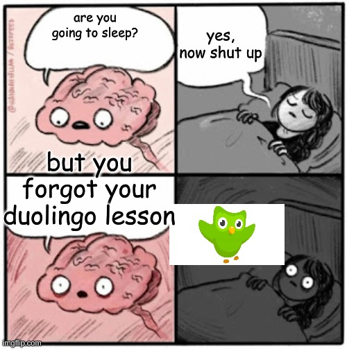 oh noo | yes, now shut up; are you going to sleep? but you forgot your duolingo lesson | image tagged in brain before sleep | made w/ Imgflip meme maker