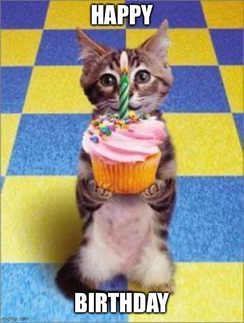 Happy Birthday Cat | HAPPY BIRTHDAY | image tagged in happy birthday cat | made w/ Imgflip meme maker