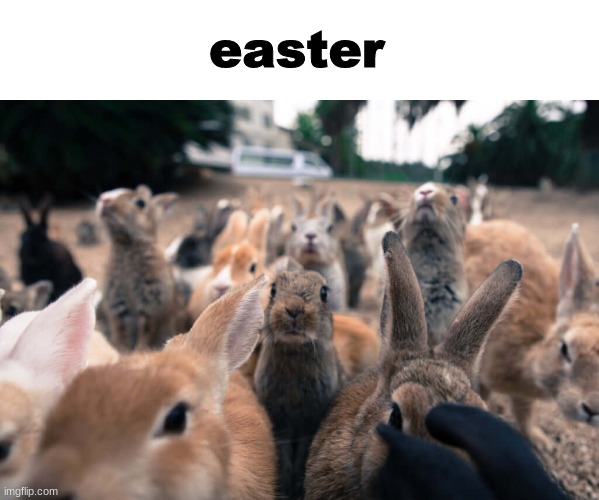 easter | made w/ Imgflip meme maker