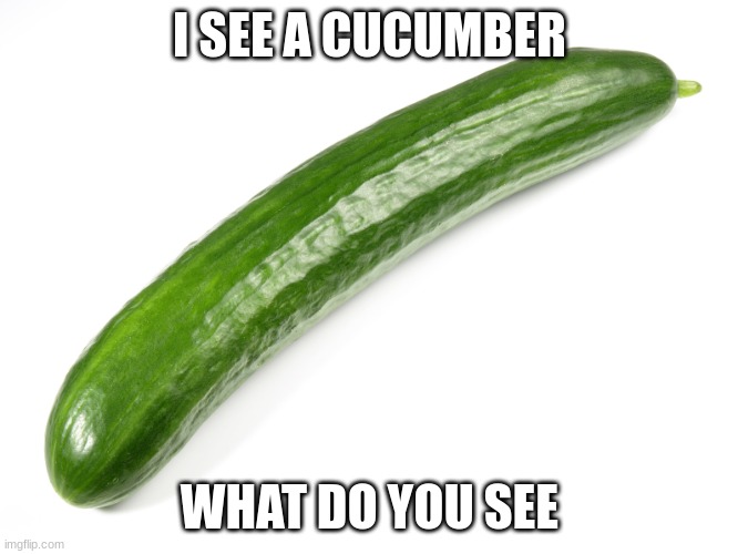 cucumber | I SEE A CUCUMBER; WHAT DO YOU SEE | image tagged in cucumber | made w/ Imgflip meme maker