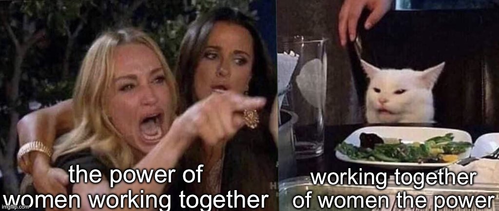 woman yelling at cat | the power of women working together working together of women the power | image tagged in woman yelling at cat | made w/ Imgflip meme maker