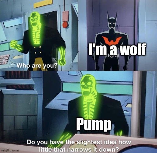 Do you have the slightest idea how little that narrows it down? | I'm a wolf; Pump | image tagged in do you have the slightest idea how little that narrows it down | made w/ Imgflip meme maker