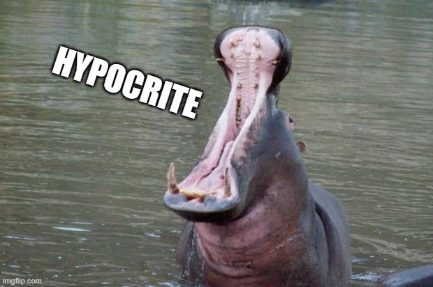 Hippo Mouth Open | HYPOCRITE | image tagged in hippo mouth open | made w/ Imgflip meme maker