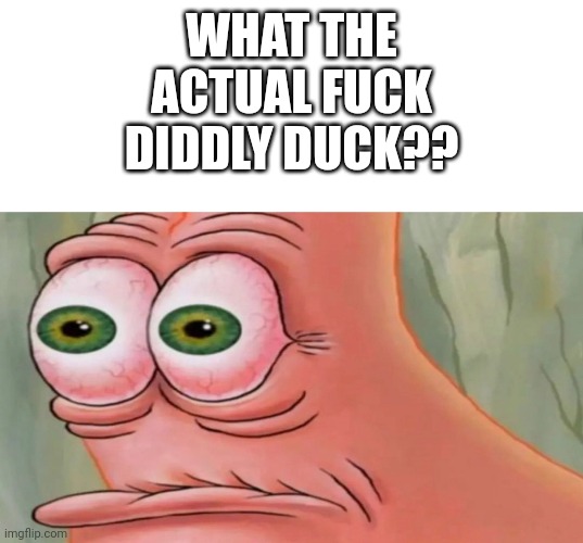 Patrick Staring Meme | WHAT THE ACTUAL FUCK DIDDLY DUCK?? | image tagged in patrick staring meme | made w/ Imgflip meme maker