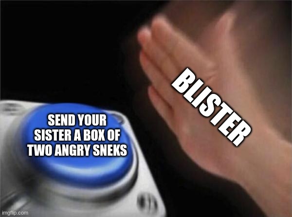 blister, the diabolical one. blaze, the idiot. and burn, the war MANIAC | BLISTER; SEND YOUR SISTER A BOX OF TWO ANGRY SNEKS | image tagged in memes,blank nut button | made w/ Imgflip meme maker