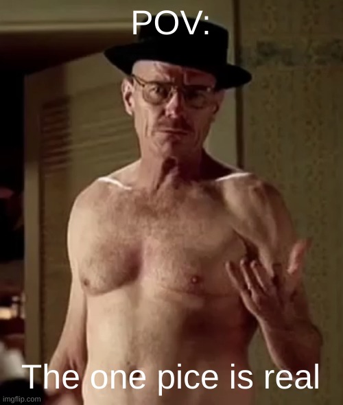 Walter white the one piece is real | POV:; The one pice is real | image tagged in walter white the one piece is real | made w/ Imgflip meme maker