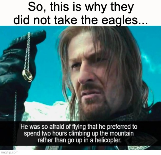 This is why |  So, this is why they did not take the eagles... | image tagged in memes,lotr,boromir,sean bean,fly,eagles | made w/ Imgflip meme maker