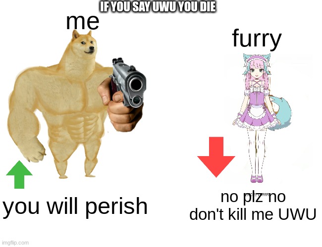 preference | IF YOU SAY UWU YOU DIE; me; furry; you will perish; no plz no don't kill me UWU | image tagged in buff doge vs cheems | made w/ Imgflip meme maker