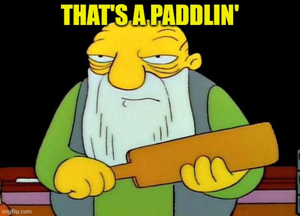 That's a paddlin' Meme | THAT'S A PADDLIN' | image tagged in memes,that's a paddlin' | made w/ Imgflip meme maker