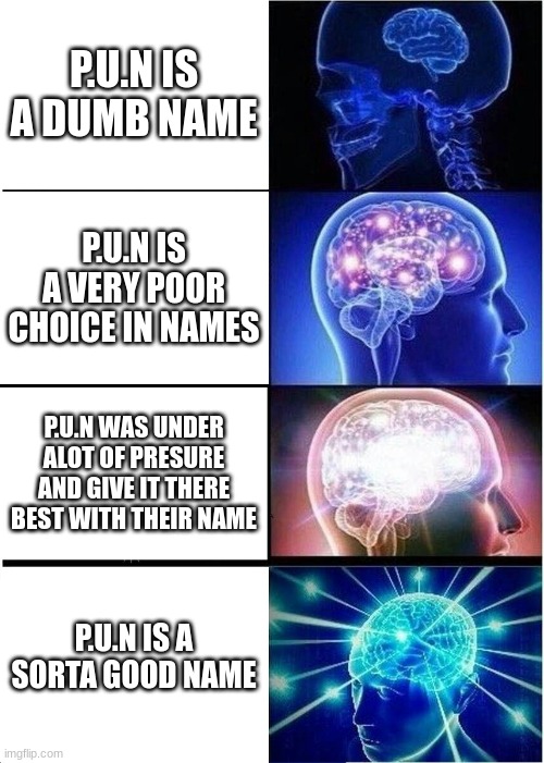 Expanding Brain | P.U.N IS A DUMB NAME; P.U.N IS A VERY POOR CHOICE IN NAMES; P.U.N WAS UNDER ALOT OF PRESURE AND GIVE IT THERE BEST WITH THEIR NAME; P.U.N IS A SORTA GOOD NAME | image tagged in memes,expanding brain | made w/ Imgflip meme maker