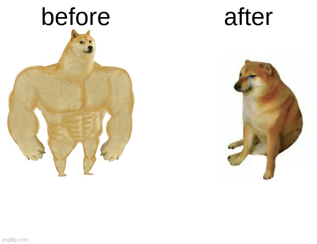 me | before; after | image tagged in memes,buff doge vs cheems | made w/ Imgflip meme maker